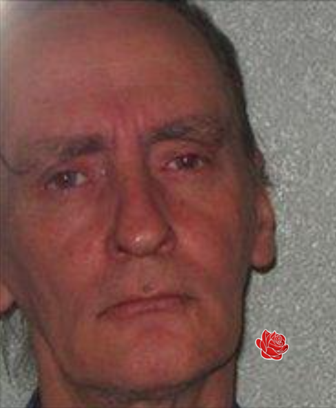 Steven Freeman – profile image